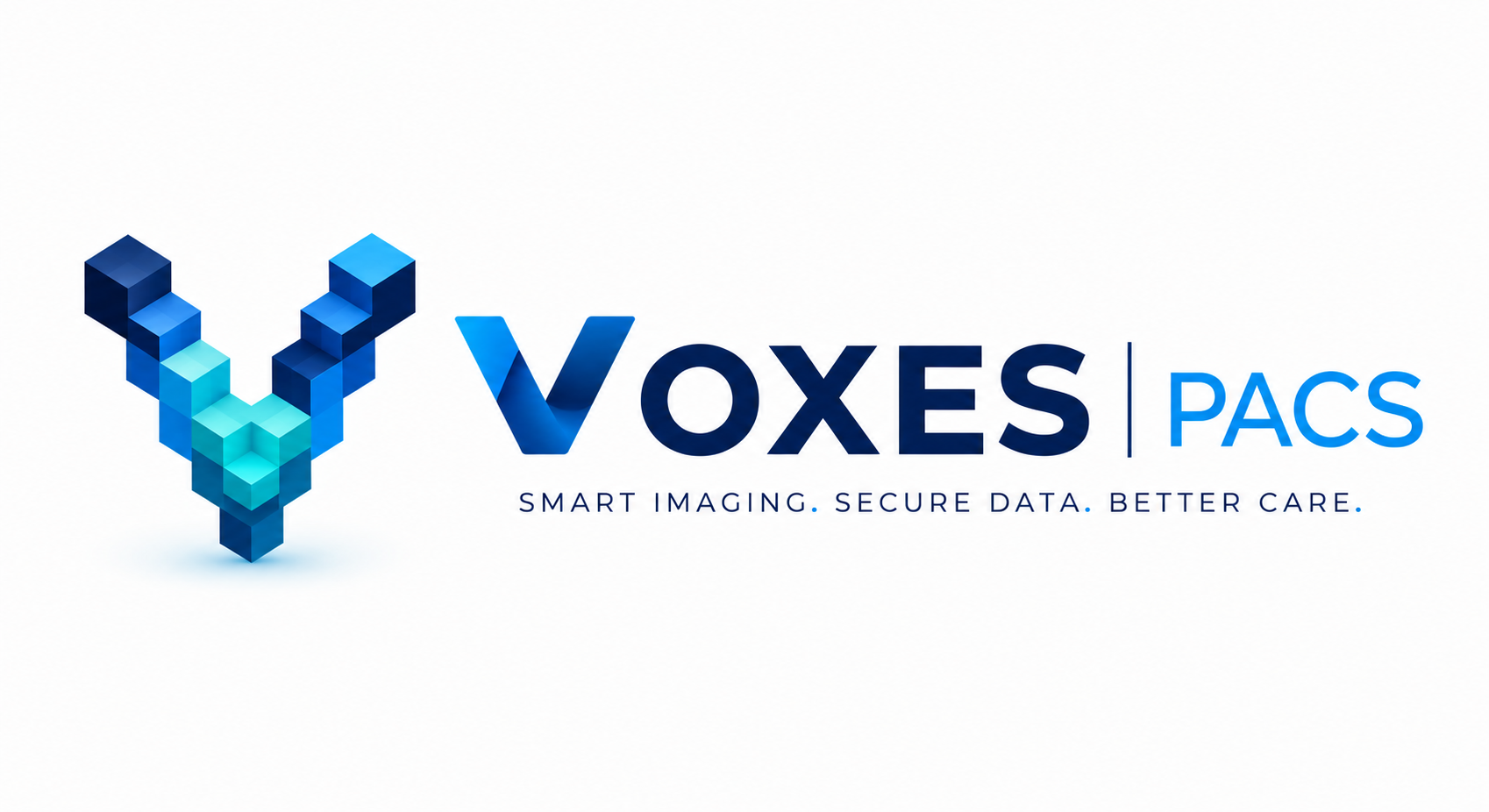 VOXEL PACS